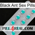 Black Ant Sex Pills 28